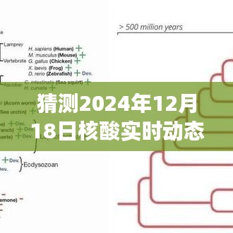 揭秘未來之旅，核酸實(shí)時(shí)動態(tài)與心靈自然美景的奇妙邂逅（預(yù)測日期為2024年12月18日）
