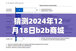 深度評測，預(yù)測與解析2024年12月18日B2B商城實時票據(jù)特性、體驗、競品對比及用戶群體分析