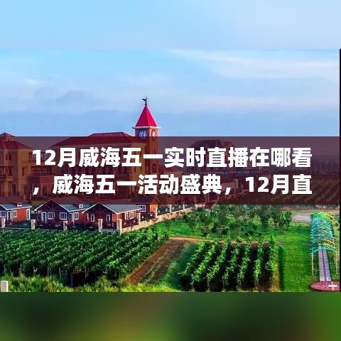 威海五一盛典直播回顧與活動影響力深度探討，直播盛宴與影響探索
