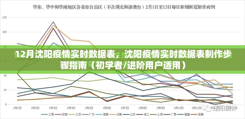 沈陽(yáng)疫情實(shí)時(shí)數(shù)據(jù)表制作指南，初學(xué)者與進(jìn)階用戶(hù)適用
