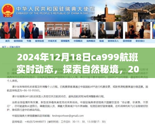 探索自然秘境，揭秘CA999航班實時動態(tài)與奇妙之旅