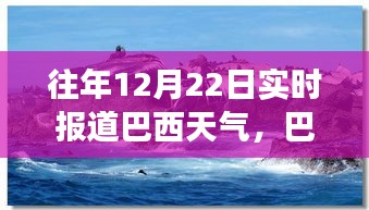 巴西暖陽下的溫馨時(shí)光，12月22日天氣紀(jì)實(shí)