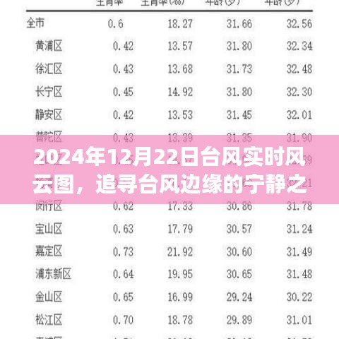 追尋臺風(fēng)邊緣的寧靜之旅，2024年臺風(fēng)風(fēng)云圖揭示的奇妙啟示