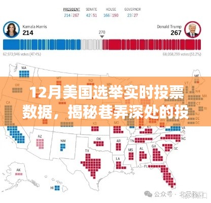 揭秘美國(guó)選舉風(fēng)云，巷弄深處的投票數(shù)據(jù)寶藏親歷之旅