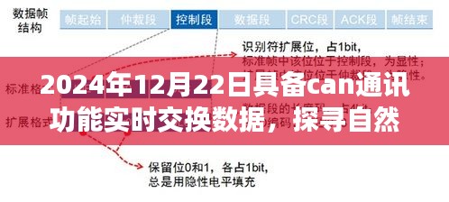 開啟數(shù)據(jù)交換之旅，探尋自然美景的心靈之旅，具備CAN通訊功能實時交換數(shù)據(jù)（2024年12月22日）
