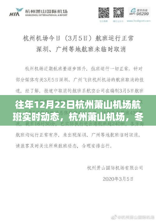 杭州蕭山機場冬至航班實時動態(tài)，舞動長空的翅膀