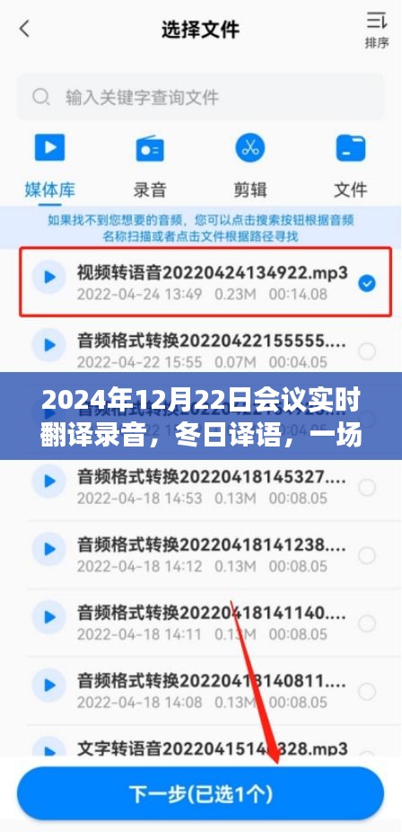 跨越語言的暖心交流，冬日譯語——2024年會議實(shí)時翻譯錄音紀(jì)實(shí)