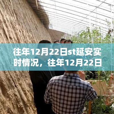 往年12月22日ST延安實(shí)時(shí)情況詳解，掌握攻略，輕松完成任務(wù)！