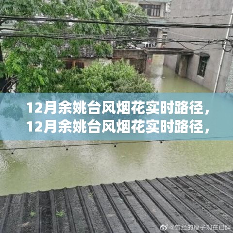 深度解析與前沿觀察，12月余姚臺(tái)風(fēng)煙花實(shí)時(shí)路徑追蹤