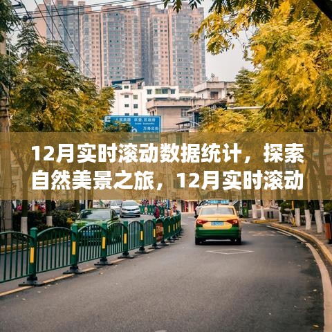 探索自然美景之旅，揭秘12月實時滾動數(shù)據(jù)統(tǒng)計背后的寧靜呼喚