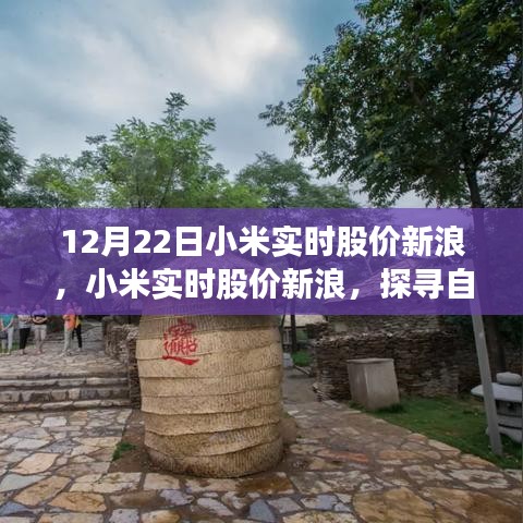小米實(shí)時(shí)股價(jià)新浪與探尋自然美景之旅，心靈寧靜的力量