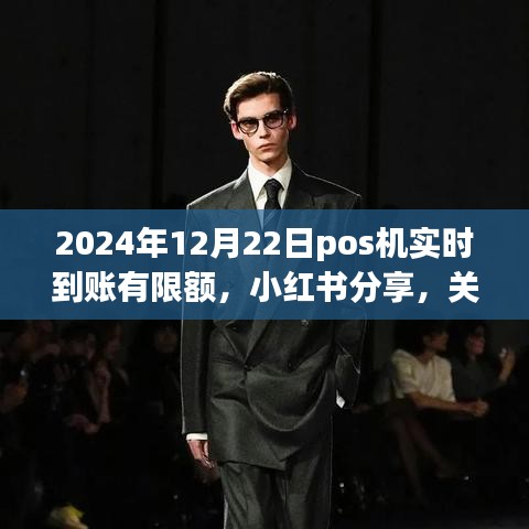 小紅書分享，2024年P(guān)OS機(jī)實(shí)時(shí)到賬限額詳解