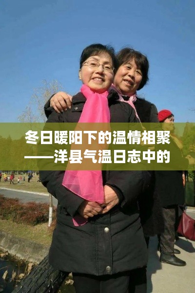冬日暖陽下的溫情相聚——洋縣氣溫日志中的歡樂聚會時(shí)光