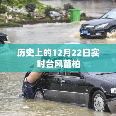 實(shí)時(shí)臺(tái)風(fēng)苗柏歷史記錄，12月22日情況概述