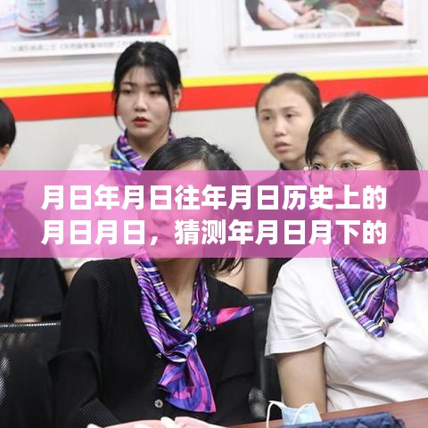 上海公交查詢，歷史與實時下載之旅