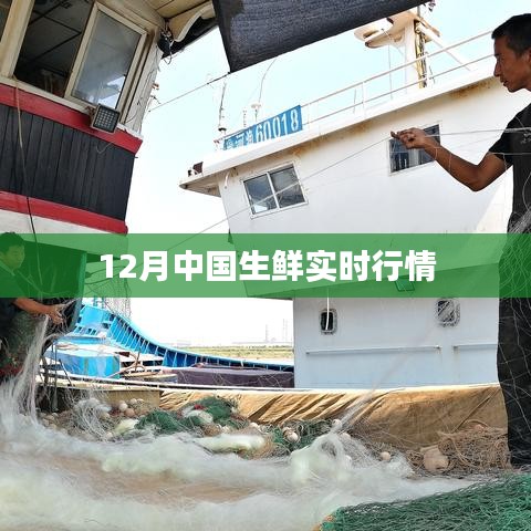 中國(guó)生鮮市場(chǎng)十二月行情實(shí)時(shí)更新