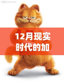 現(xiàn)實(shí)版加菲貓圖片集，溫馨可愛(ài)瞬間捕捉