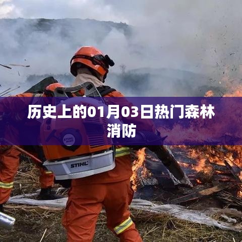 森林消防歷史上的重要日子，一月三日熱門事件回顧