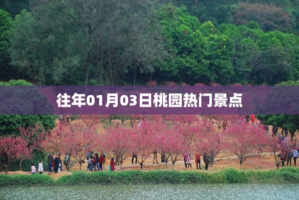 長(zhǎng)頸鳥(niǎo)喙 第2頁(yè)