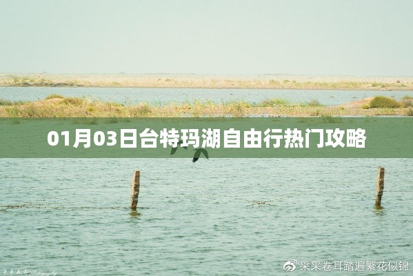 聯(lián)系我們 第347頁(yè)