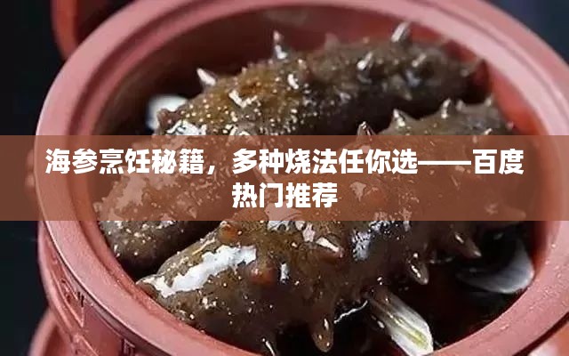 海參烹飪秘籍，多種燒法任你選——百度熱門推薦