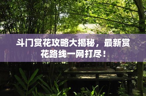 斗門賞花攻略大揭秘，最新賞花路線一網(wǎng)打盡！