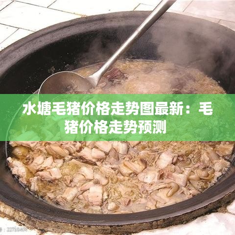 聯(lián)系我們 第326頁