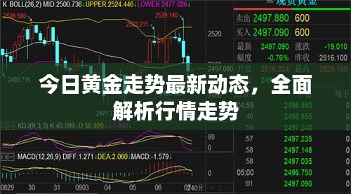 今日黃金走勢最新動態(tài)，全面解析行情走勢