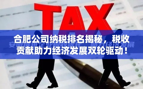 合肥公司納稅排名揭秘，稅收貢獻助力經(jīng)濟發(fā)展雙輪驅(qū)動！