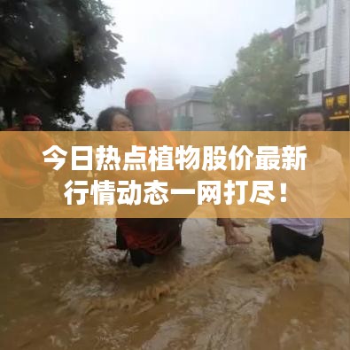 今日熱點(diǎn)植物股價(jià)最新行情動(dòng)態(tài)一網(wǎng)打盡！