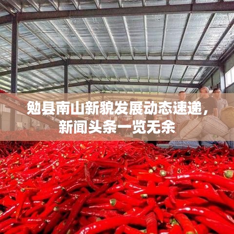 勉縣南山新貌發(fā)展動態(tài)速遞，新聞頭條一覽無余