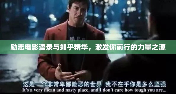 產(chǎn)品展示 第275頁