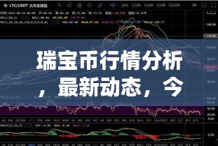 瑞寶幣行情分析，最新動態(tài)，今日走勢一網(wǎng)打盡！