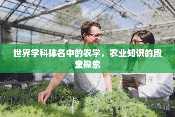 世界學(xué)科排名中的農(nóng)學(xué)，農(nóng)業(yè)知識的殿堂探索