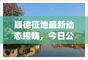 順德征地最新動(dòng)態(tài)揭曉，今日公告刷新征地進(jìn)展！