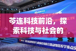 芩連科技前沿，探索科技與社會(huì)的交匯發(fā)展之道