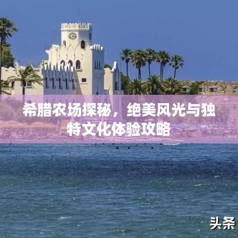 希臘農(nóng)場(chǎng)探秘，絕美風(fēng)光與獨(dú)特文化體驗(yàn)攻略