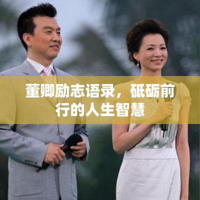 董卿勵(lì)志語錄，砥礪前行的人生智慧