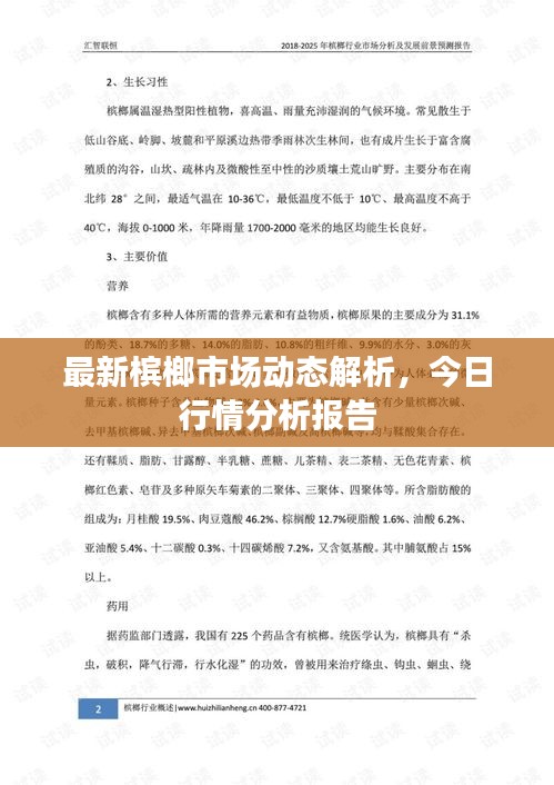 最新檳榔市場動(dòng)態(tài)解析，今日行情分析報(bào)告