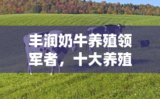 豐潤奶牛養(yǎng)殖領(lǐng)軍者，十大養(yǎng)殖企業(yè)榮耀上榜