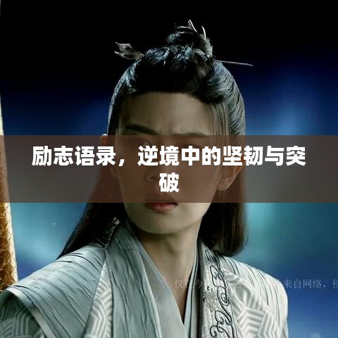 勵(lì)志語錄，逆境中的堅(jiān)韌與突破