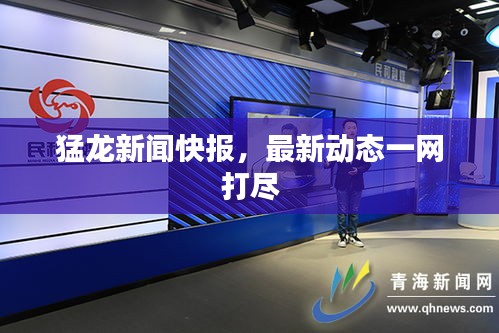 猛龍新聞快報，最新動態(tài)一網(wǎng)打盡