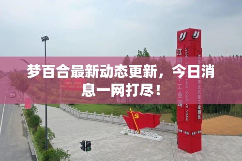 夢(mèng)百合最新動(dòng)態(tài)更新，今日消息一網(wǎng)打盡！