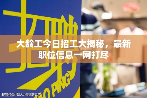 大齡工今日招工大揭秘，最新職位信息一網(wǎng)打盡