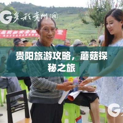 貴陽(yáng)旅游攻略，蘑菇探秘之旅
