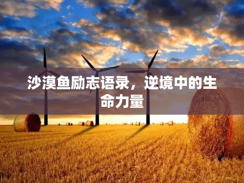 聯(lián)系我們 第249頁