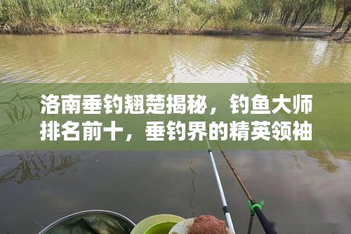洛南垂釣翹楚揭秘，釣魚大師排名前十，垂釣界的精英領(lǐng)袖！