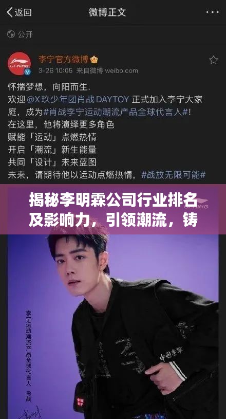 揭秘李明霖公司行業(yè)排名及影響力，引領(lǐng)潮流，鑄就傳奇！