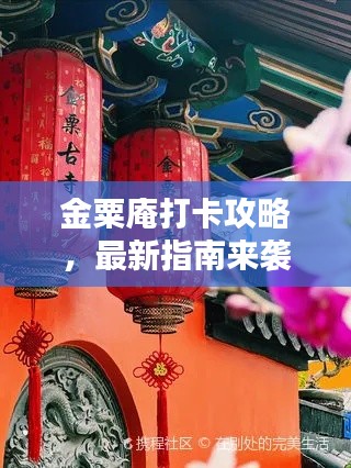 聯(lián)系我們 第235頁