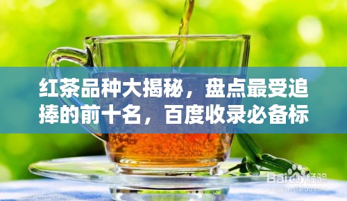 聯(lián)系我們 第234頁